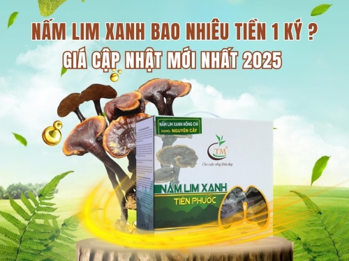 Nấm Lim Xanh bao nhiêu tiền 1kg ? Giá mới nhất 2025 và cách chọn mua đúng